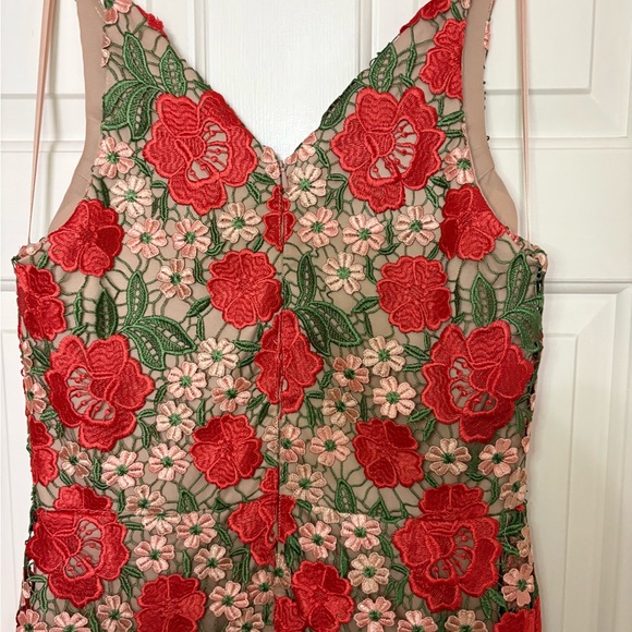 Xscape (Macy’s) Blush Dress with Red and Green Floral Crochet Embroidery - Picture 7 of 9